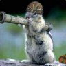I_AM_SQUIRREL J2